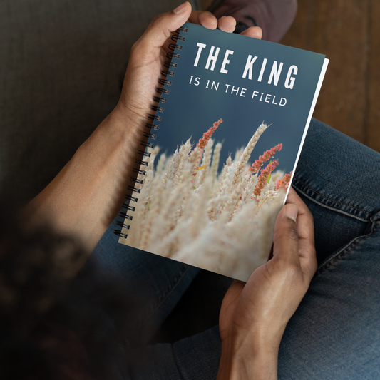 The King is in the field Notebook (ELUL)